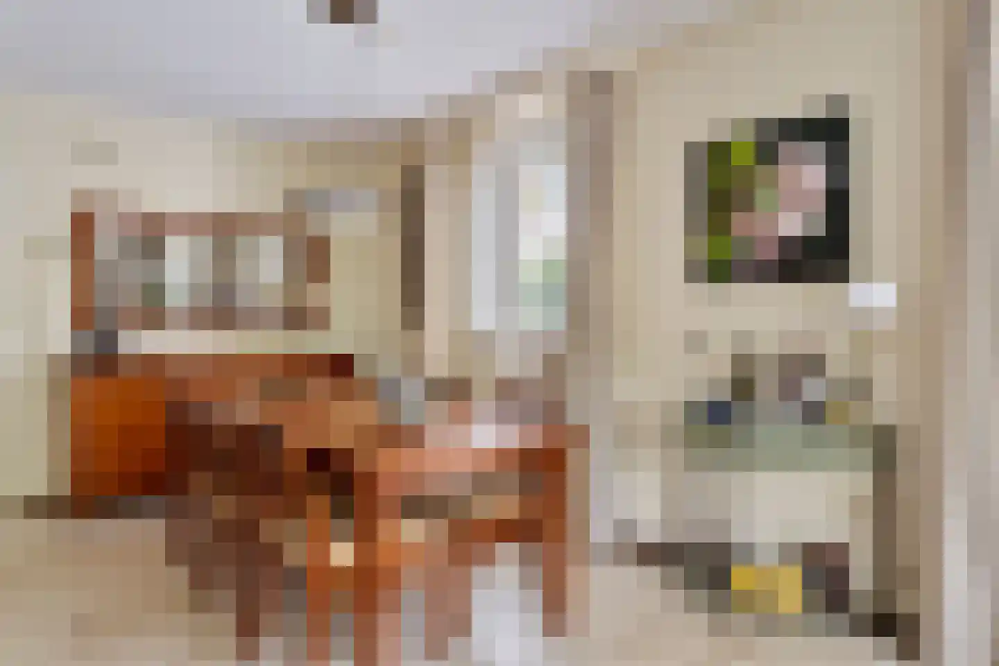 Baroniestraat 32 Boxtel thumbnail 22