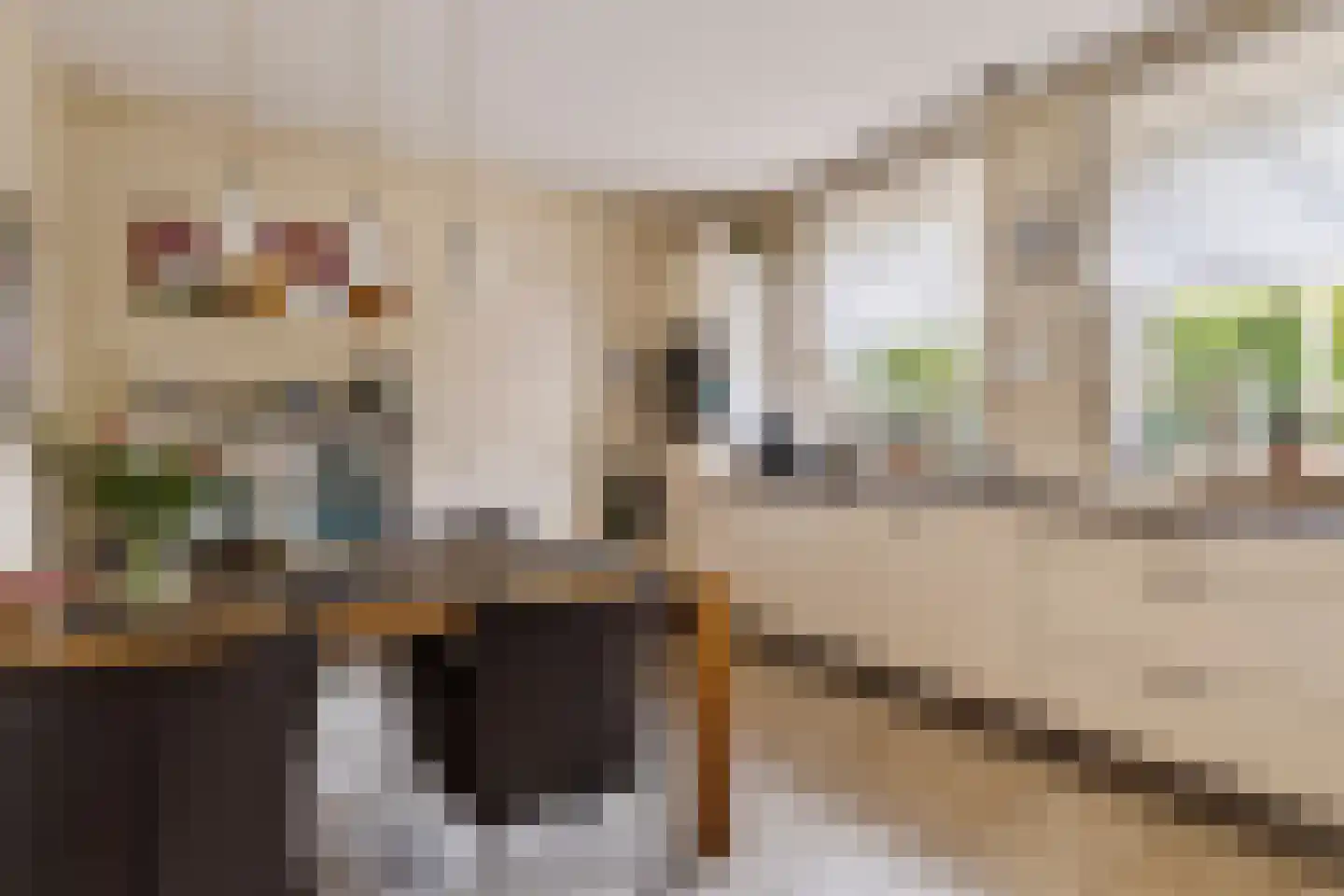 Baroniestraat 32 Boxtel thumbnail 23