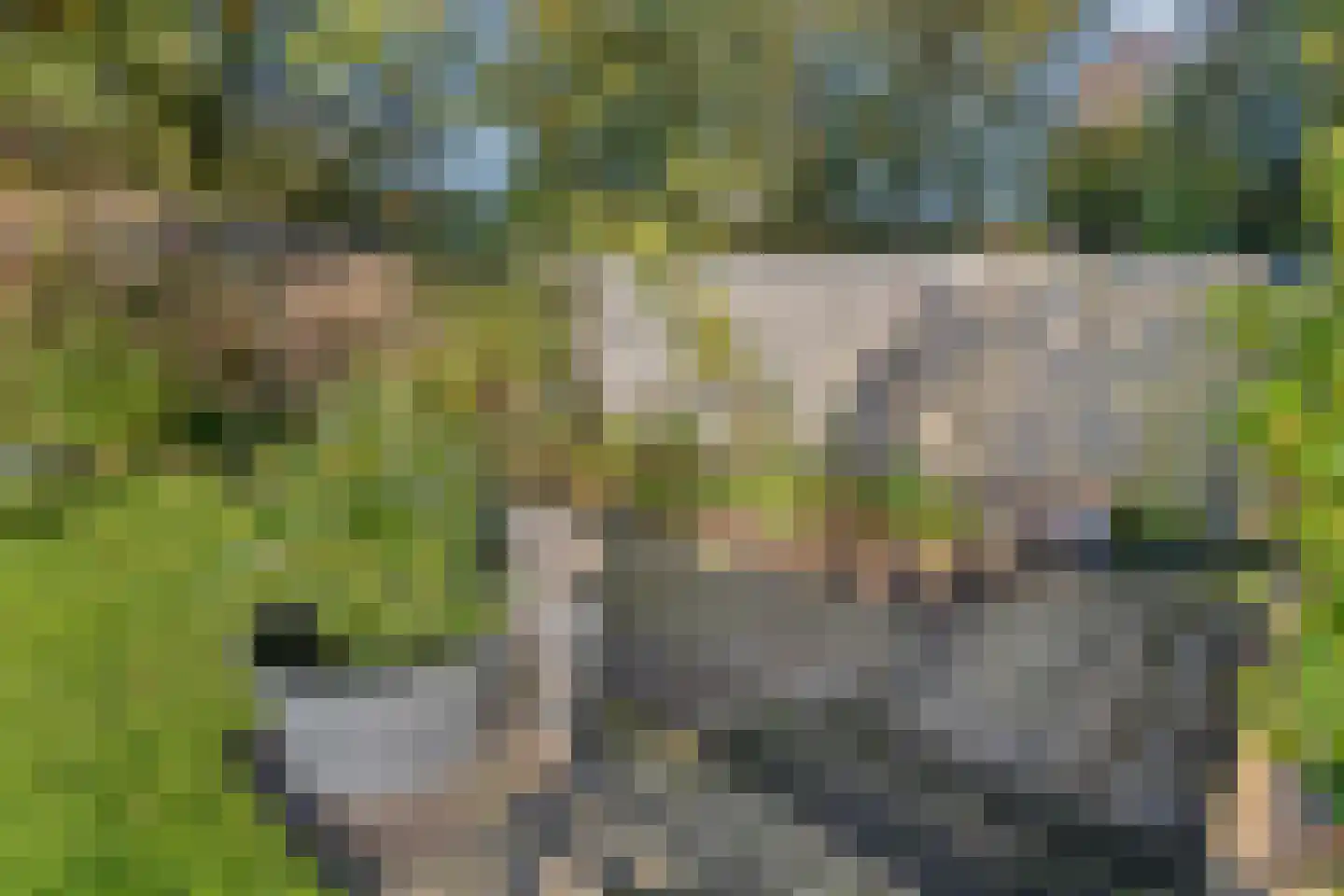 Baroniestraat 32 Boxtel thumbnail 39