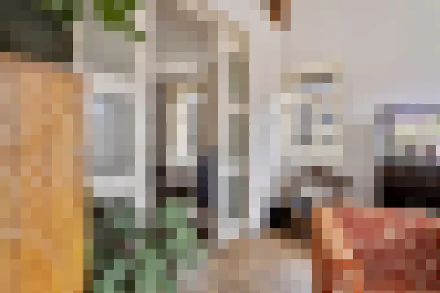 Baroniestraat 32 Boxtel thumbnail 44
