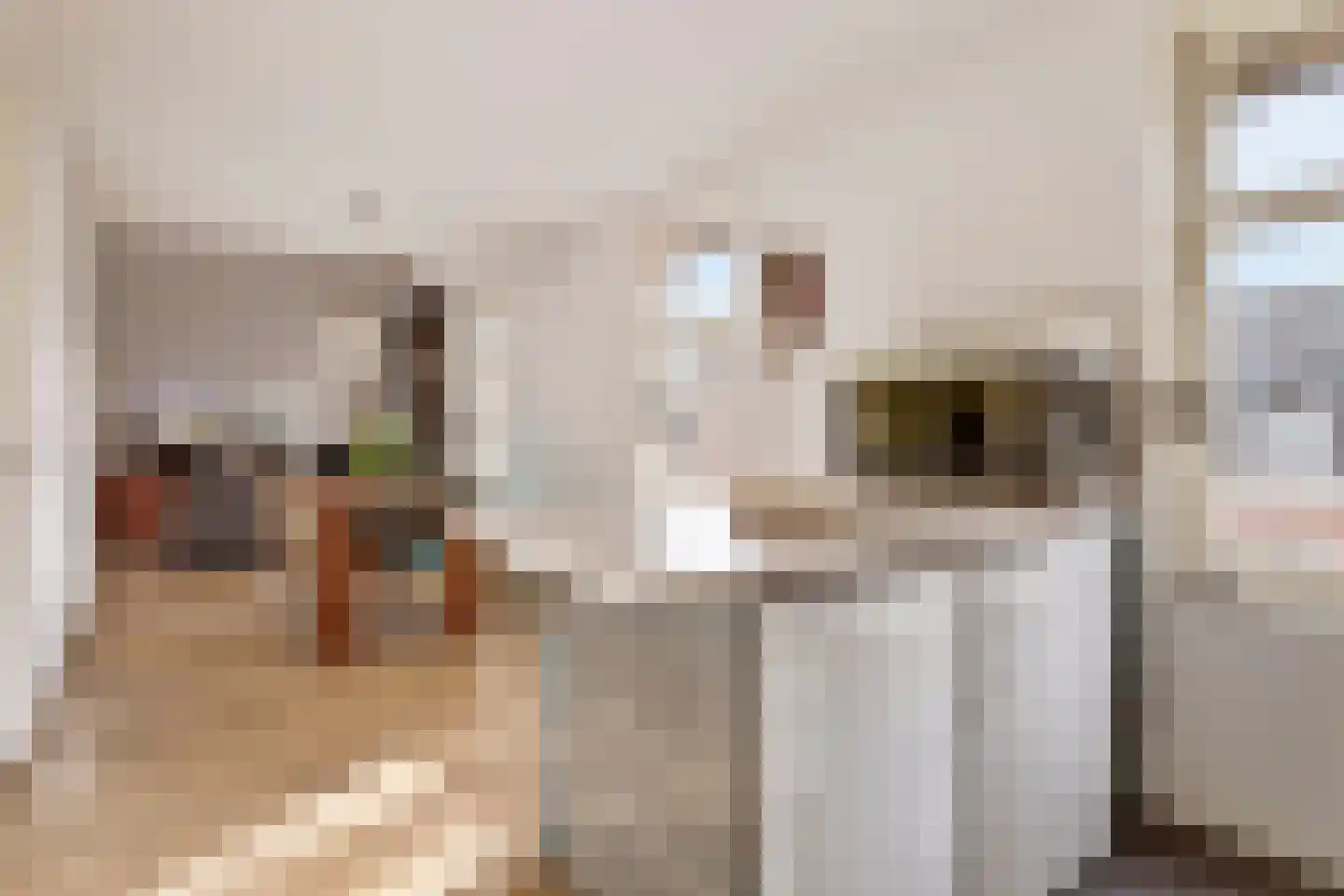 Baroniestraat 32 Boxtel thumbnail 48