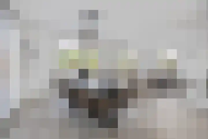 Baroniestraat 32 Etten-Leur thumbnail 12