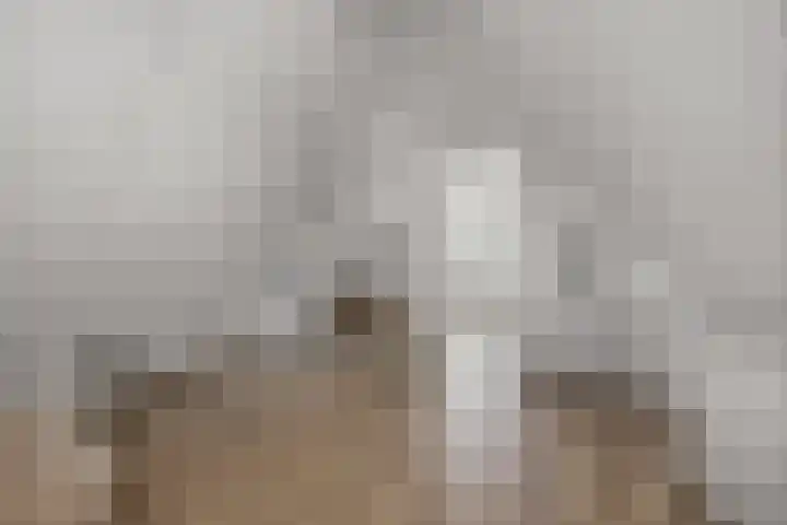 Baroniestraat 32 Etten-Leur thumbnail 35
