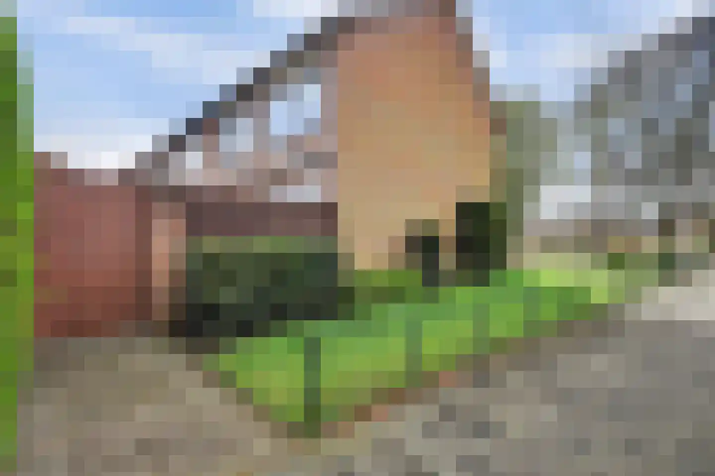 Baroniestraat 38 Baarle-Nassau thumbnail 33