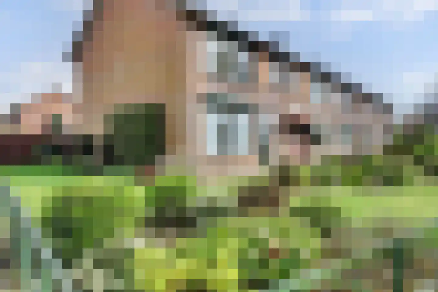 Baroniestraat 38 Baarle-Nassau thumbnail 34