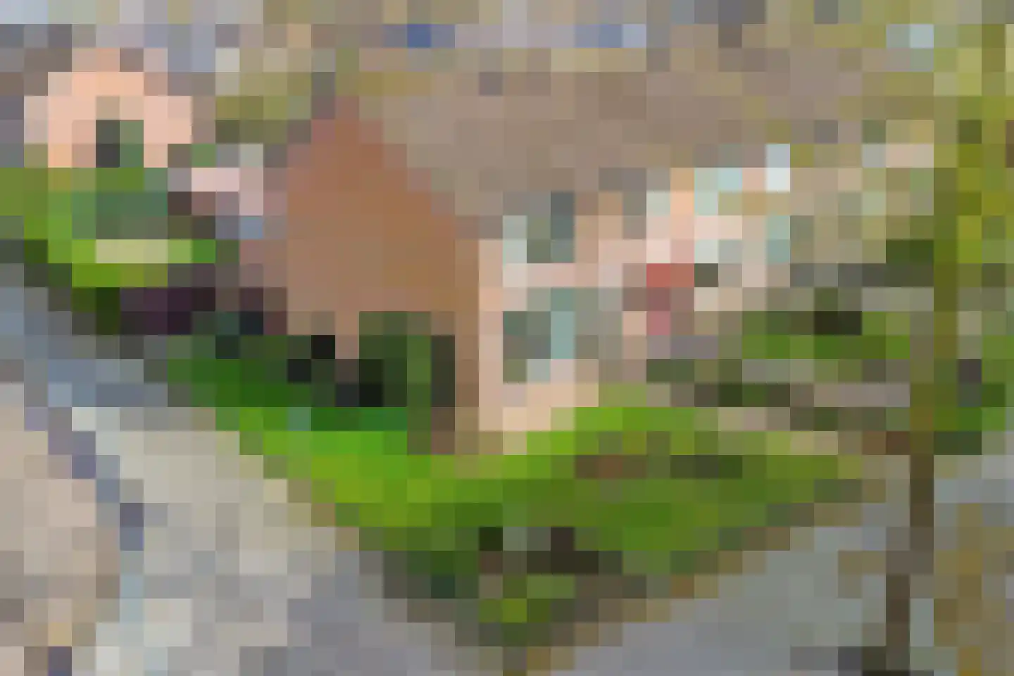 Baroniestraat 38 Baarle-Nassau thumbnail 44