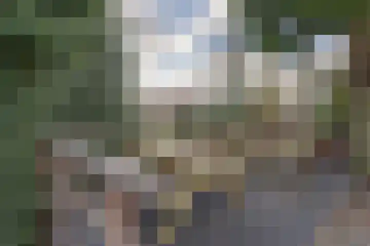 Baroniestraat 46 07 Boxtel thumbnail 27