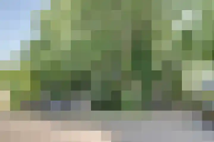 Baroniestraat 46 08 Boxtel thumbnail 13
