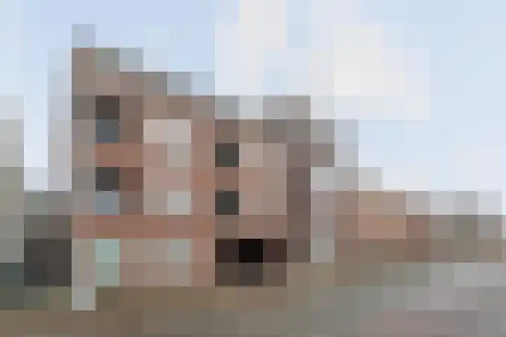Baroniestraat 46 09 Boxtel thumbnail 10