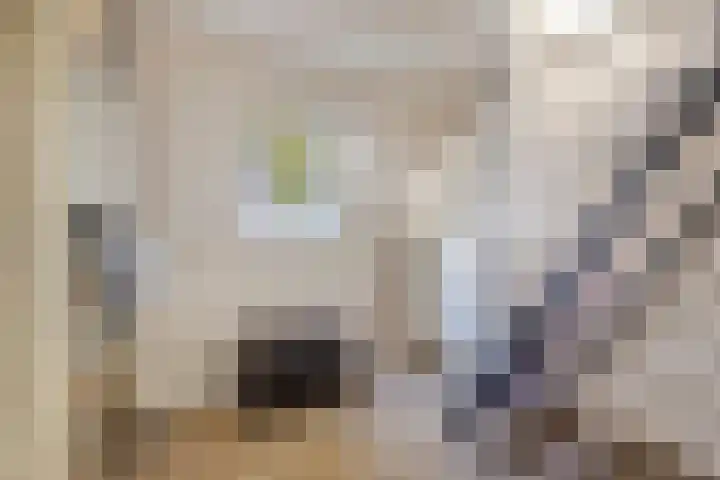 Baroniestraat 5 Boxtel thumbnail 26