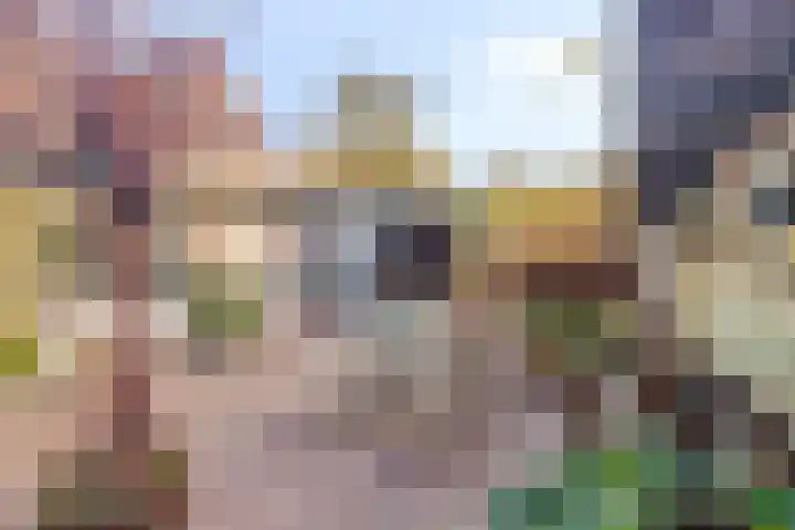 Baroniestraat 5 Boxtel thumbnail 45