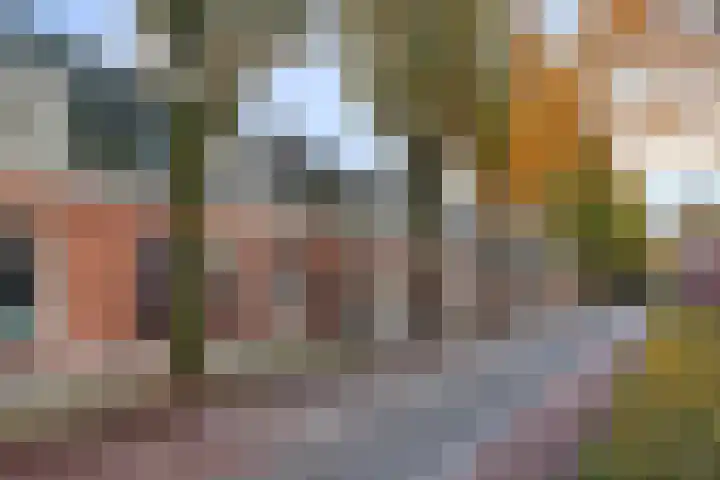 Baroniestraat 5 Boxtel thumbnail 49
