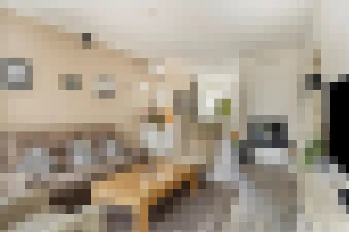 Baroniestraat 5 Gronsveld thumbnail 11