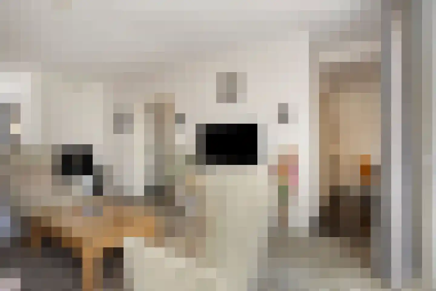 Baroniestraat 5 Gronsveld thumbnail 16