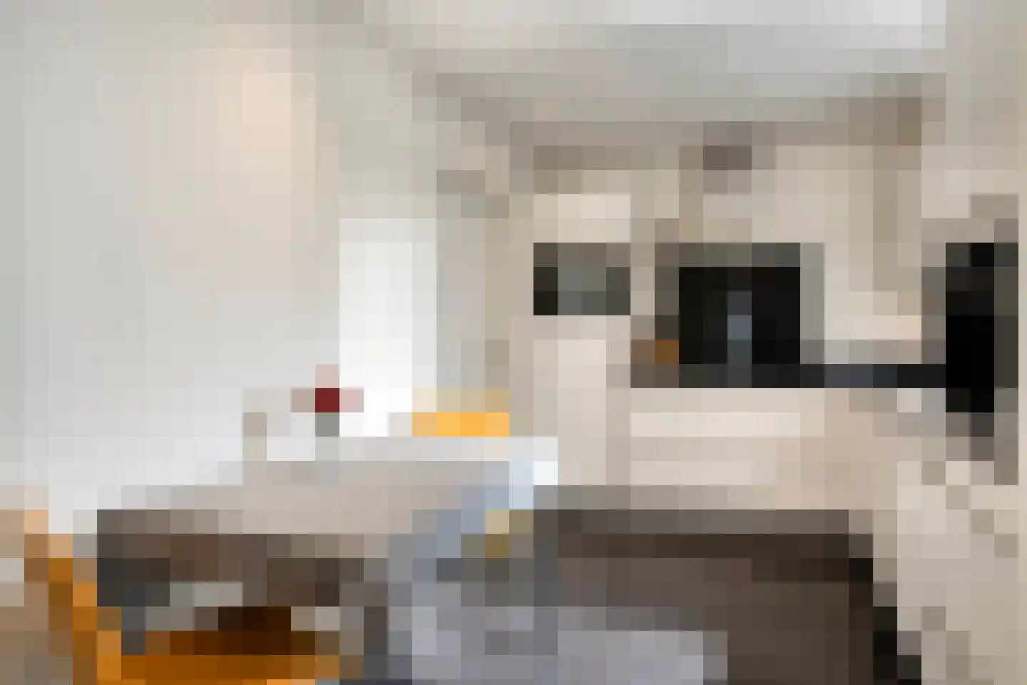 Baroniestraat 5 Gronsveld thumbnail 18