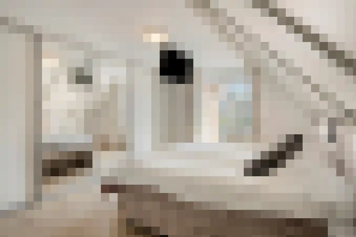 Baroniestraat 5 Gronsveld thumbnail 24