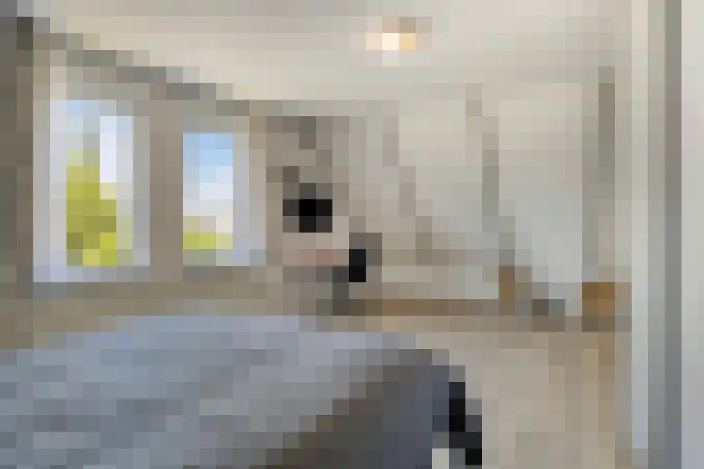 Baroniestraat 5 Gronsveld thumbnail 31