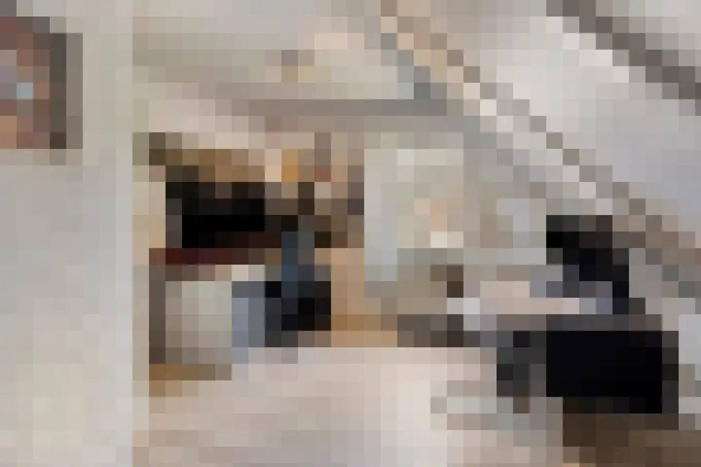 Baroniestraat 5 Gronsveld thumbnail 34