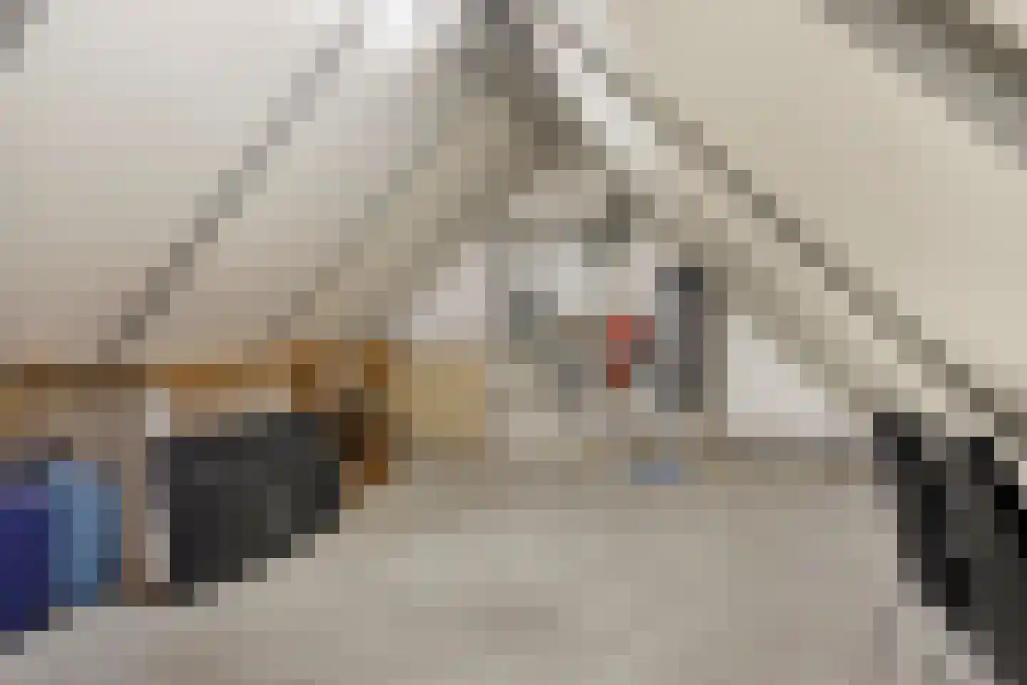 Baroniestraat 5 Gronsveld thumbnail 36