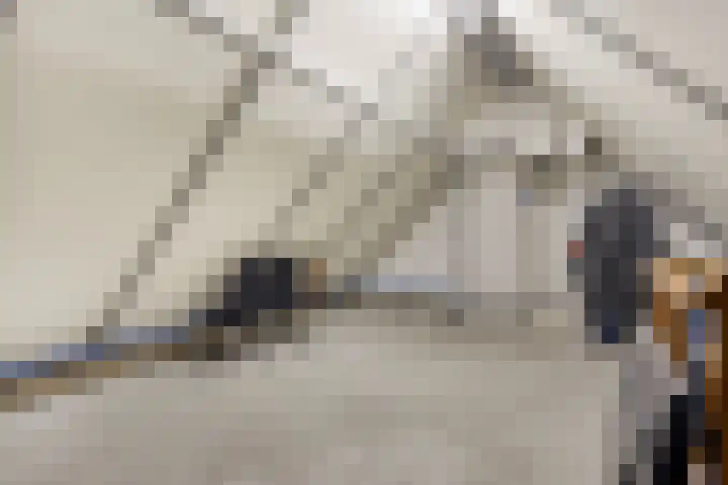 Baroniestraat 5 Gronsveld thumbnail 37