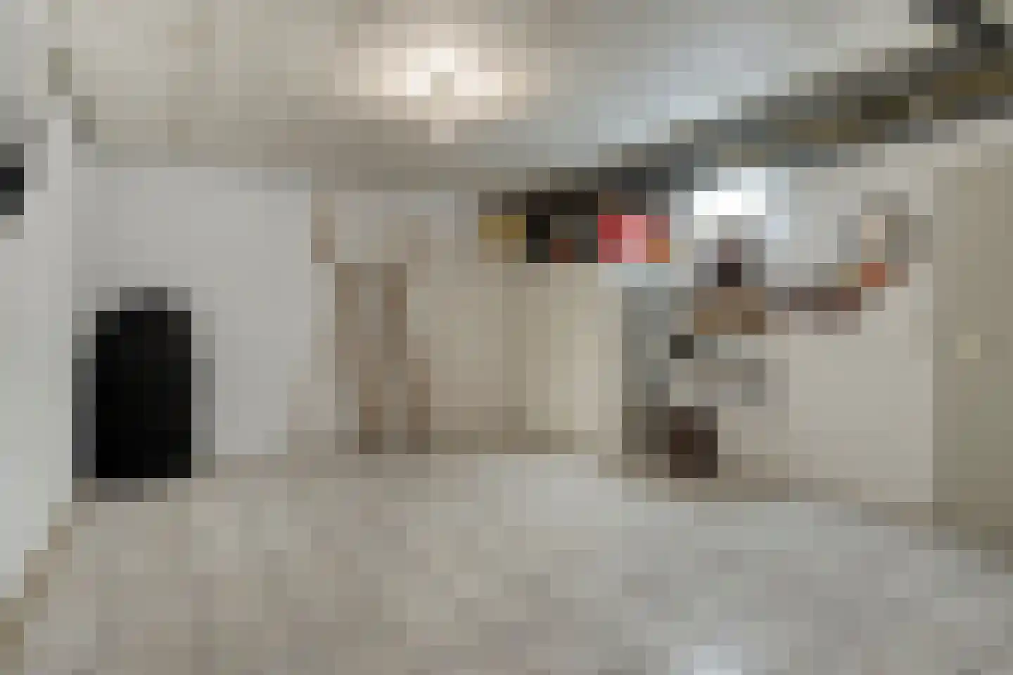 Baroniestraat 5 Gronsveld thumbnail 42