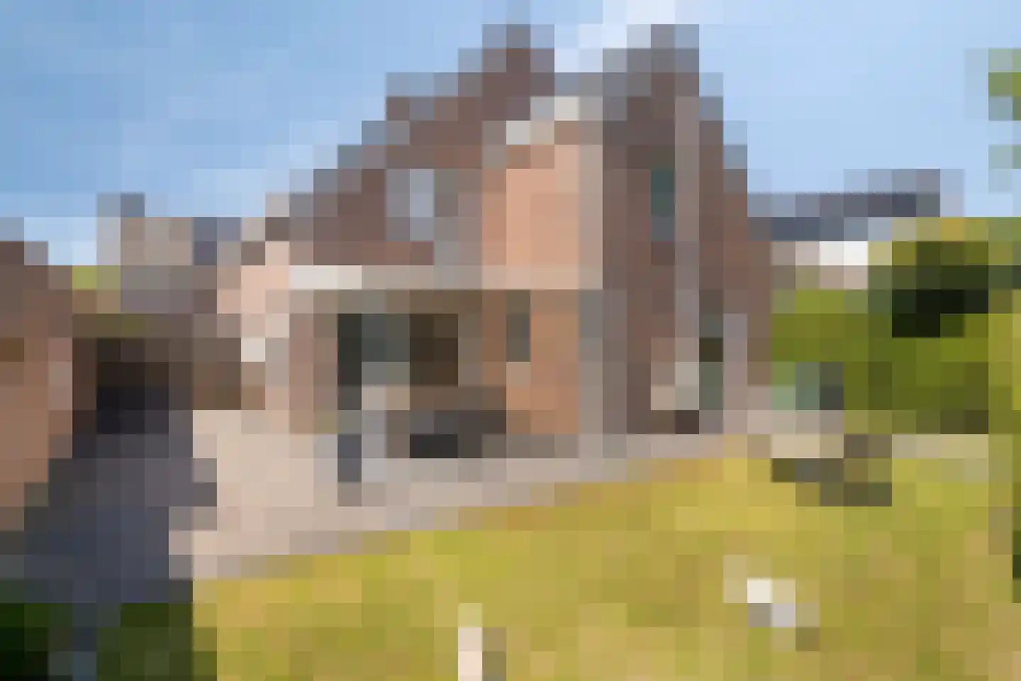 Baroniestraat 5 Gronsveld thumbnail 46