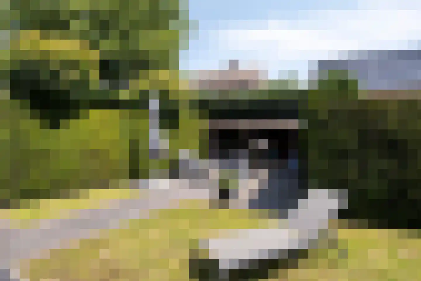 Baroniestraat 5 Gronsveld thumbnail 47