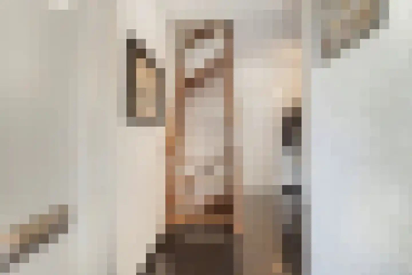 Baroniestraat 5 Gronsveld thumbnail 5