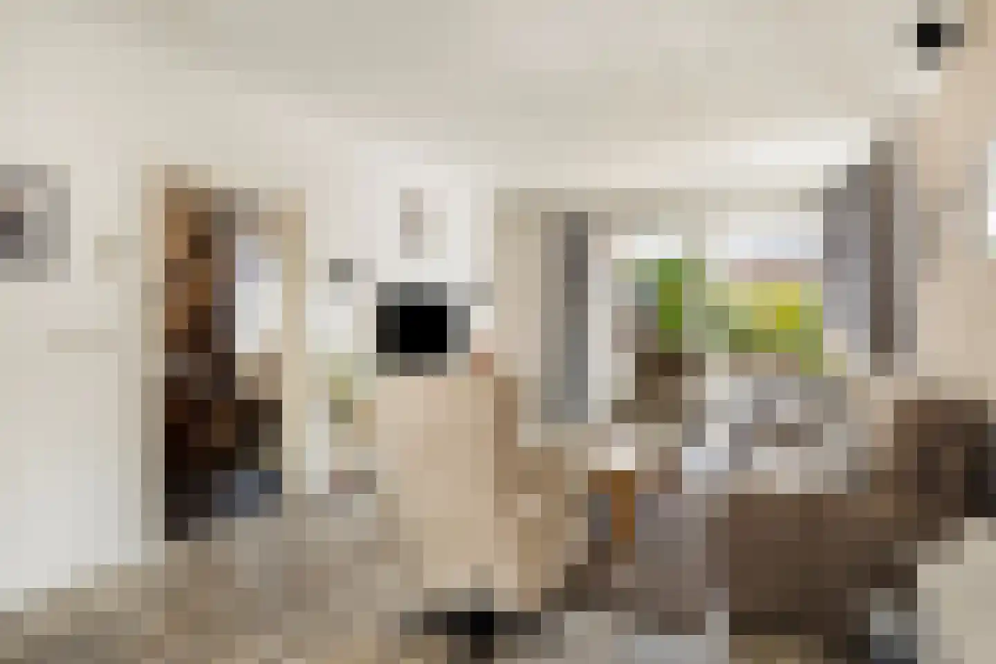 Baroniestraat 5 Gronsveld thumbnail 9