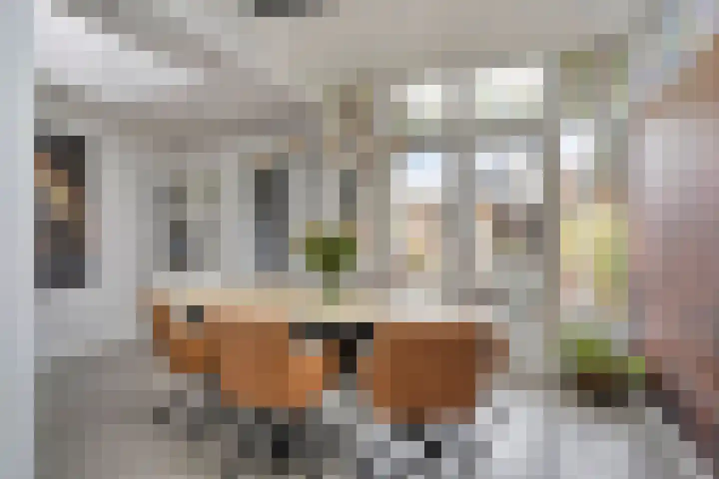 Baroniestraat 55 Boxtel thumbnail 11