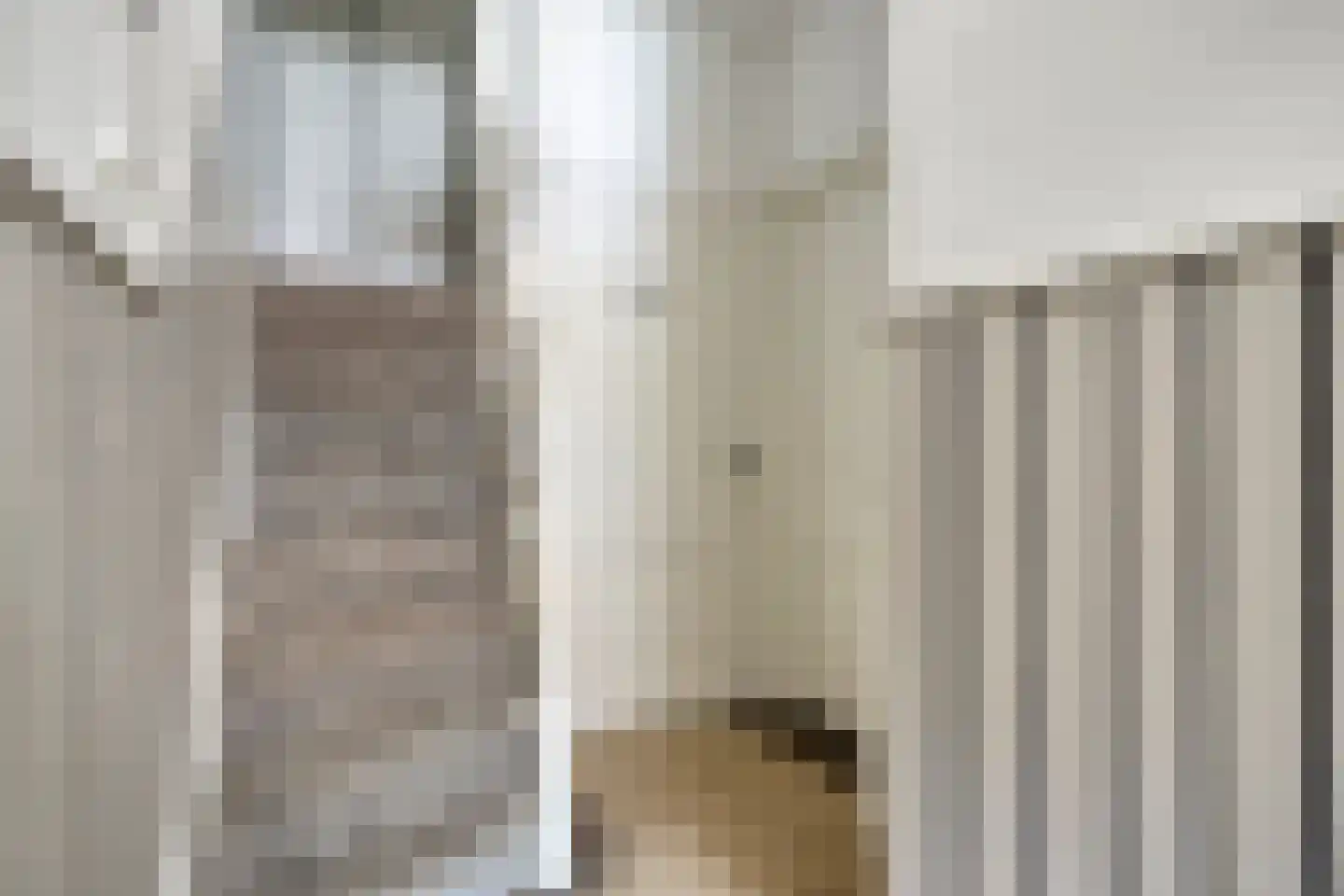 Baroniestraat 55 Boxtel thumbnail 16