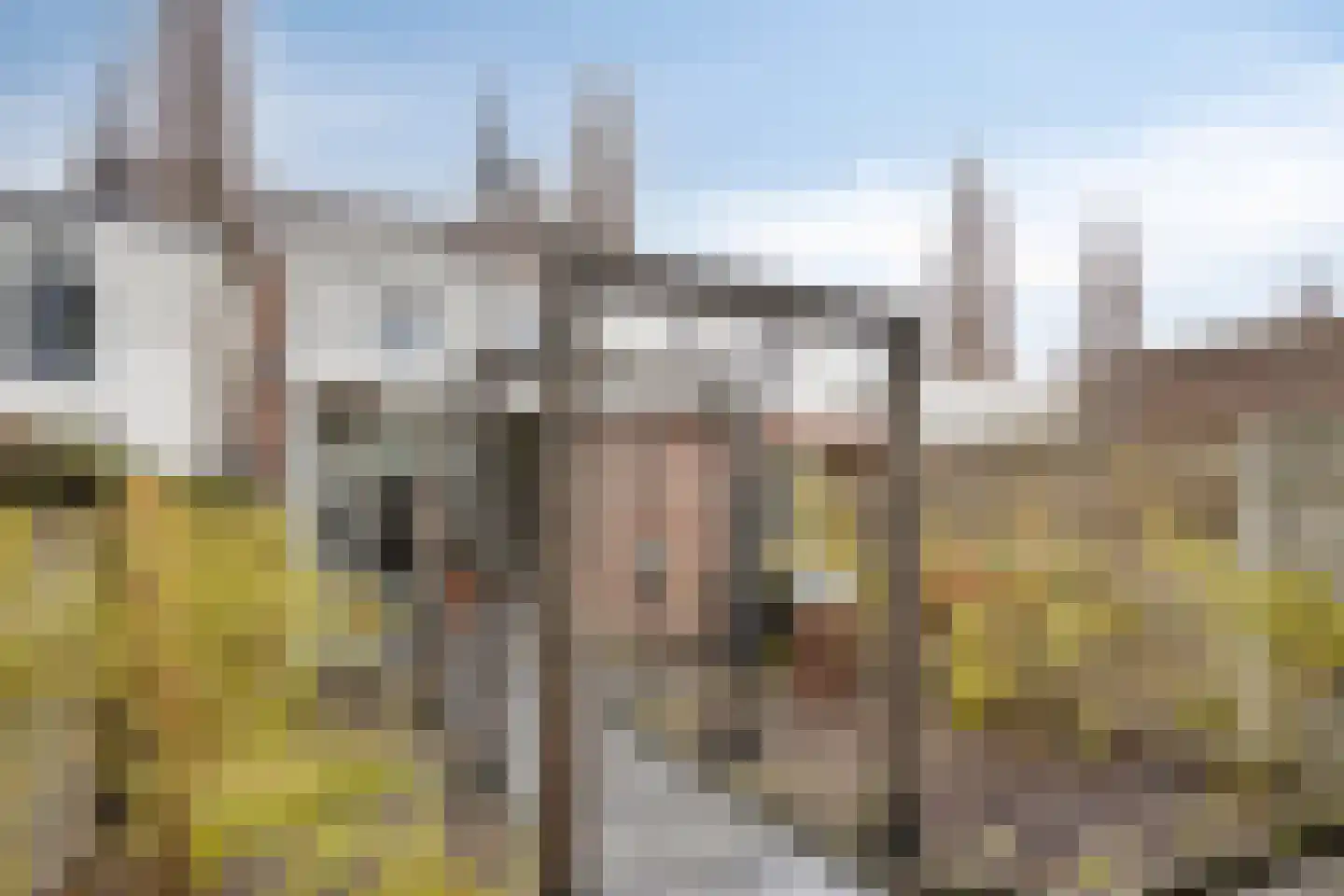 Baroniestraat 55 Boxtel thumbnail 32