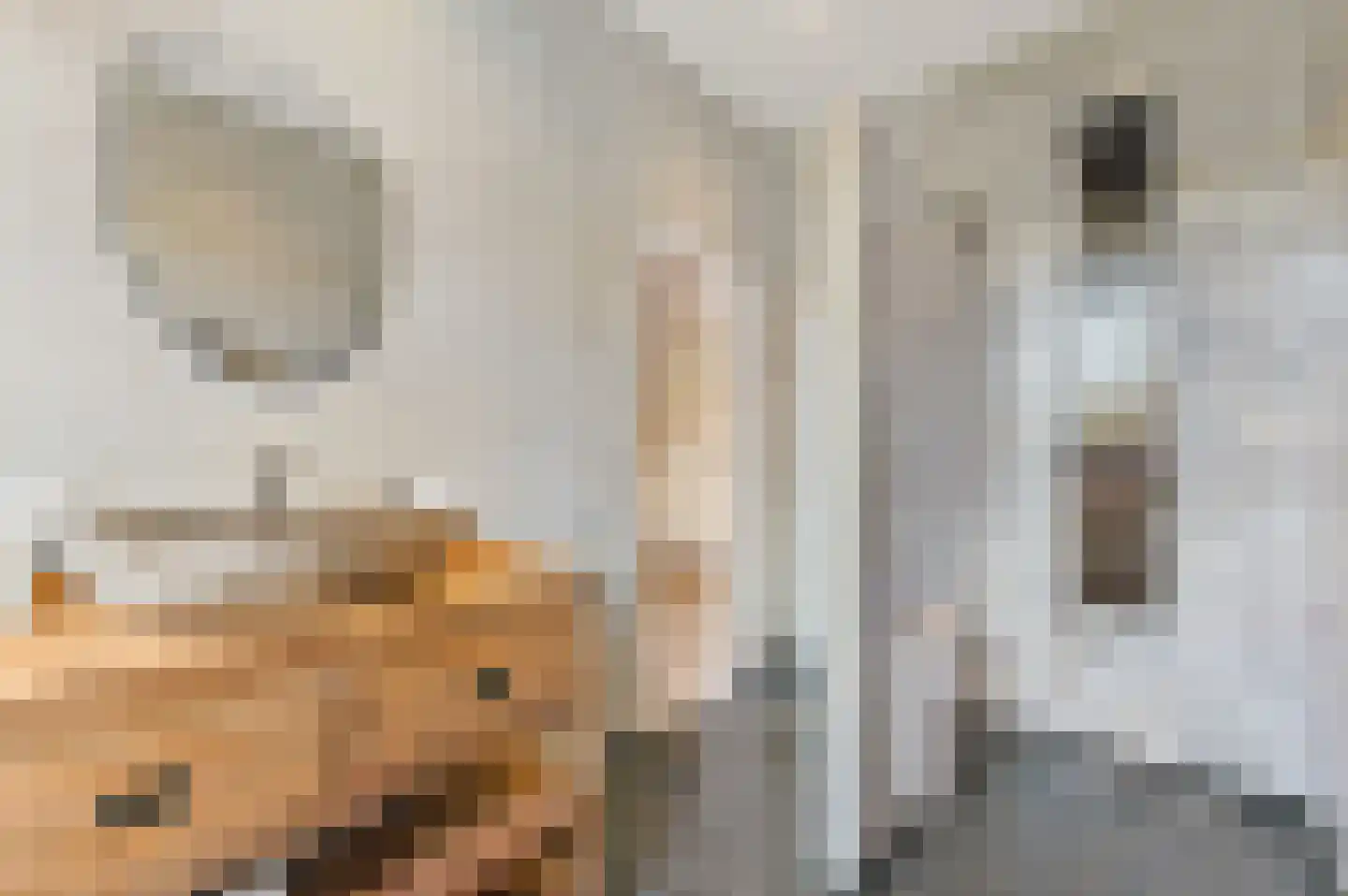 Baroniestraat 8 B Rotterdam thumbnail 22