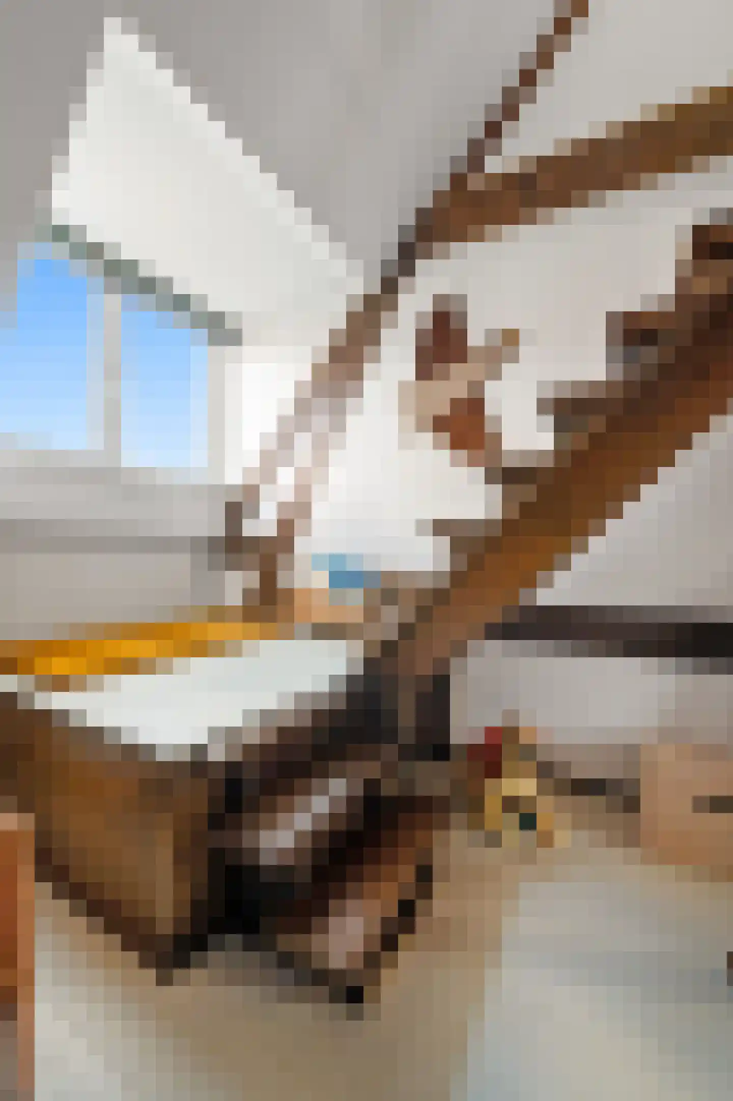 Baroniestraat 8 B Rotterdam thumbnail 49