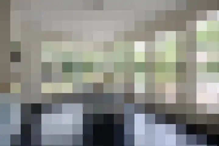 Baroniestraat 9 Etten-Leur thumbnail 21