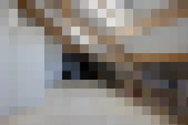 Baroniestraat 9 Etten-Leur thumbnail 39
