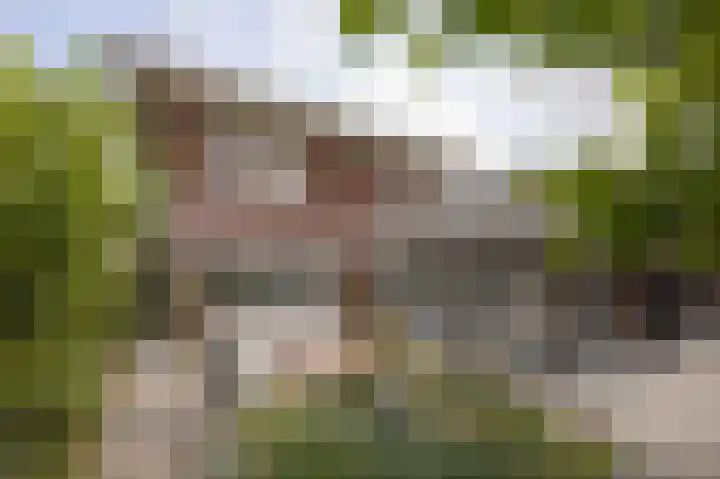 Baroniestraat 9 Etten-Leur thumbnail 51