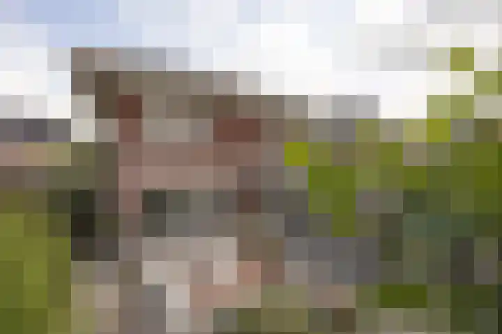 Baroniestraat 9 Etten-Leur thumbnail 52