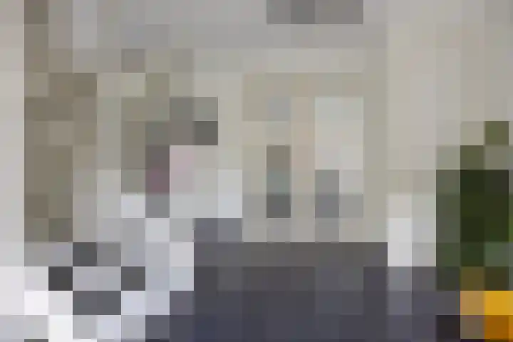 Baroniestraat 9 Etten-Leur thumbnail 8