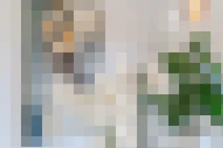 Baroniestraat 9 Oosterhout thumbnail 12