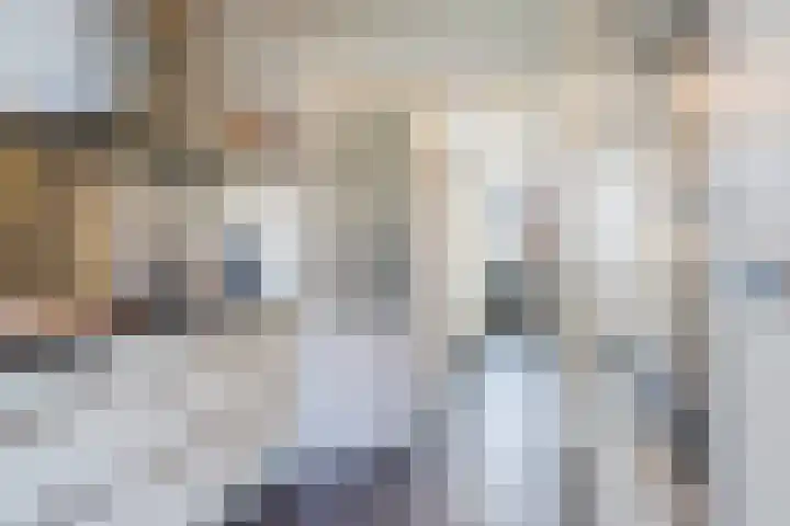 Baroniestraat 9 Oosterhout thumbnail 16