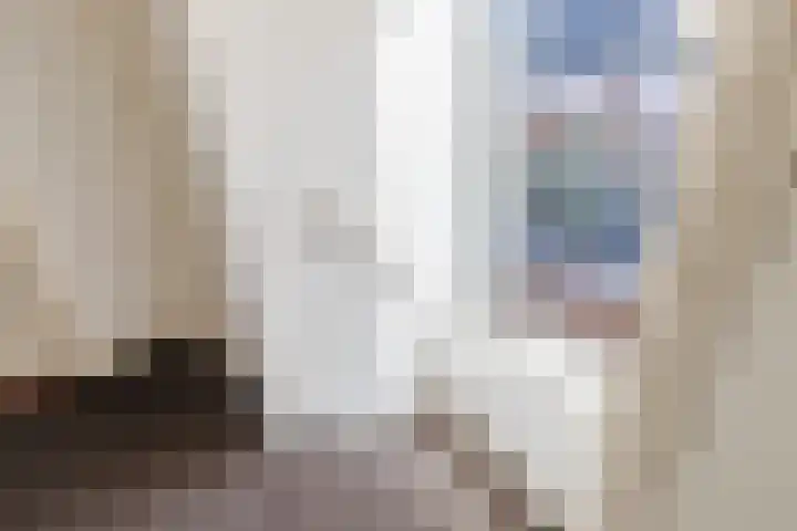 Baroniestraat 9 Oosterhout thumbnail 20