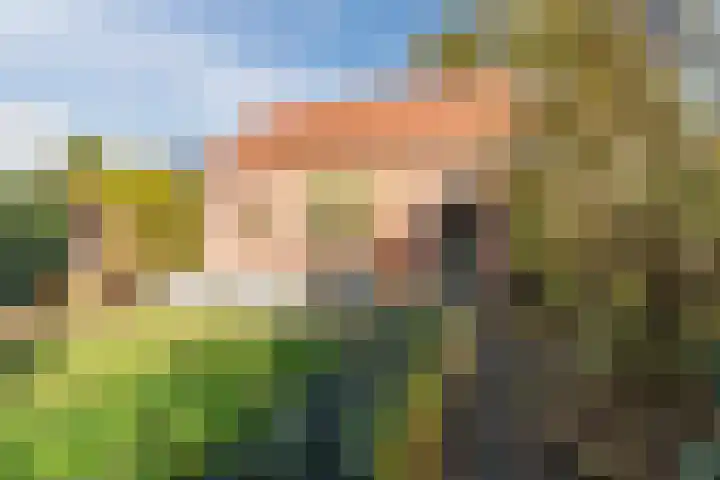 Baroniestraat 9 Oosterhout thumbnail 36