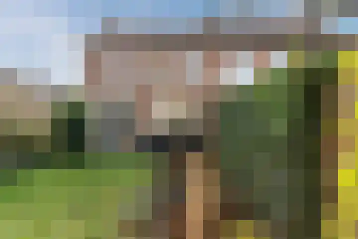 Baroniestraat 9 Oosterhout thumbnail 41