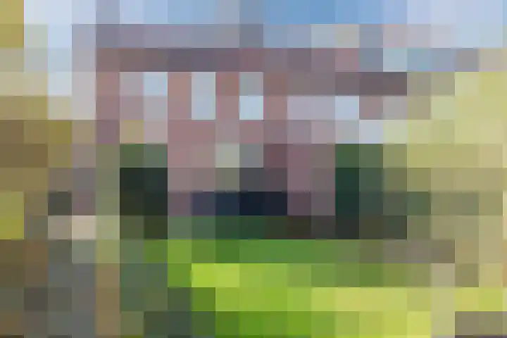 Baroniestraat 9 Oosterhout thumbnail 42