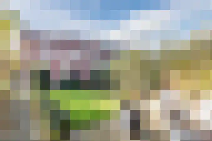 Baroniestraat 9 Oosterhout thumbnail 43