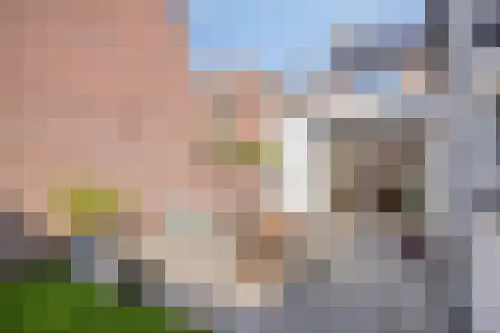 Baroniestraat 95 Boxtel thumbnail 25
