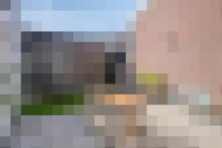 Baroniestraat 95 Boxtel thumbnail 26