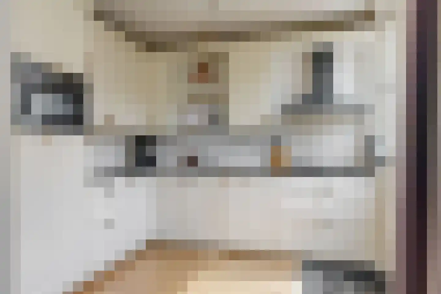 Baronieweg 23 Polsbroek thumbnail 10