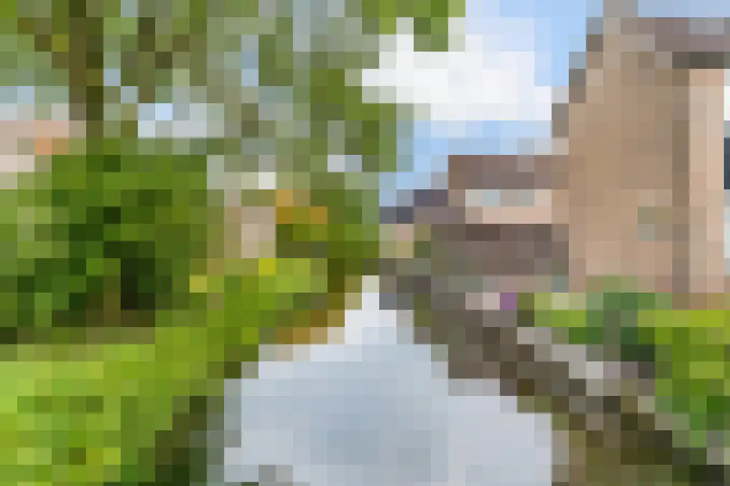 Baronieweg 23 Polsbroek thumbnail 38